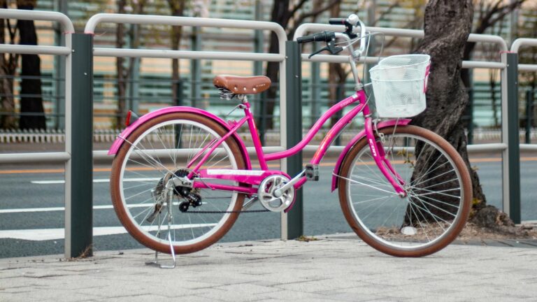 ajme-roza-bicikla-cover-1