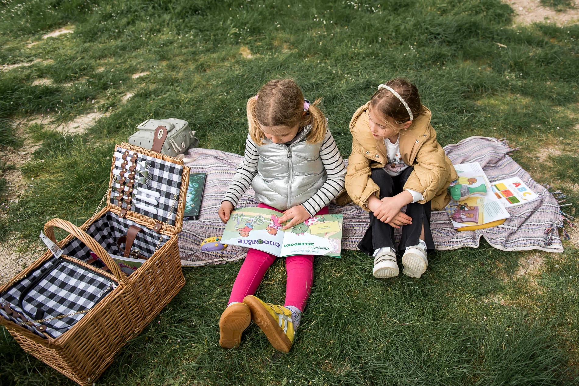 ajme-portal-froddo-piknik