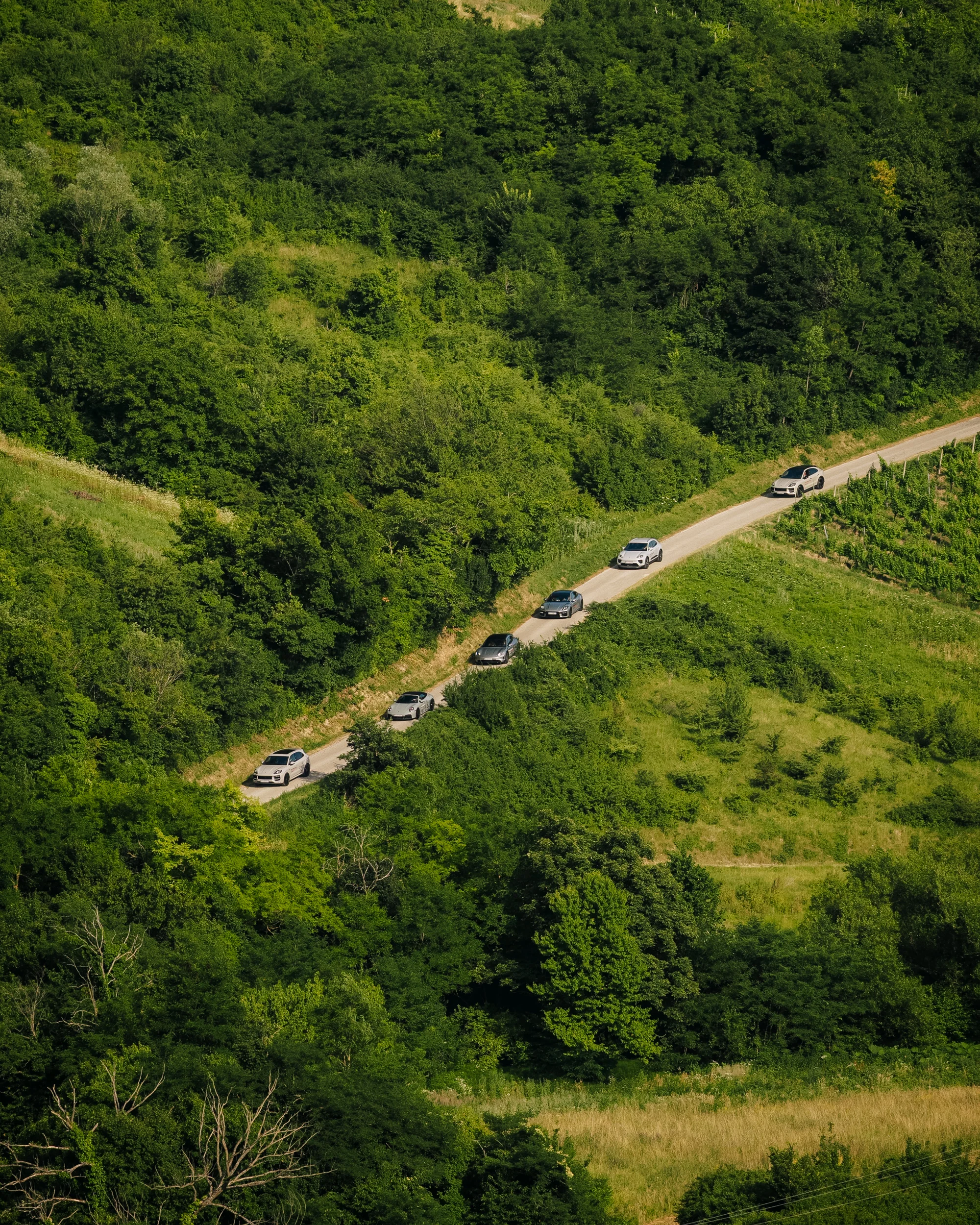 Porsche-Zagreb-Road-Show