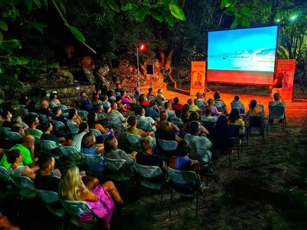 Fstival Mate Svjetski publika pred ekranom